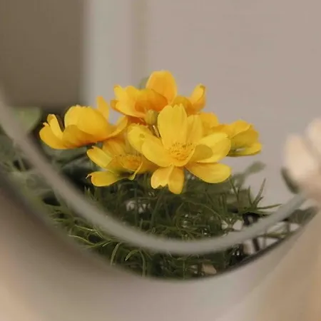 Valentine's Viareggio