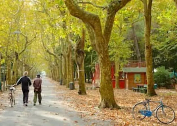 Valentine's Апартаменты *